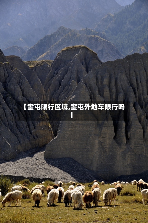 【奎屯限行区域,奎屯外地车限行吗】