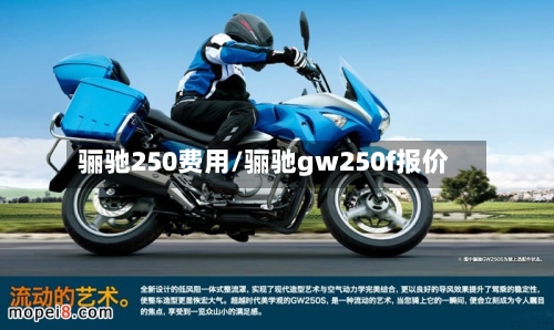 骊驰250费用/骊驰gw250f报价