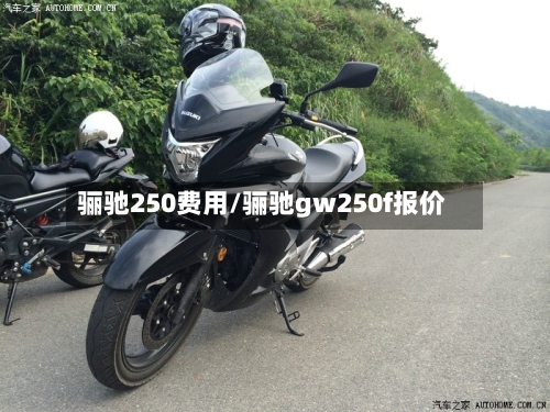 骊驰250费用/骊驰gw250f报价-第2张图片