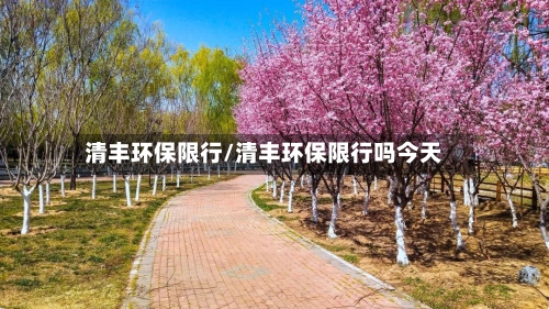 清丰环保限行/清丰环保限行吗今天-第2张图片