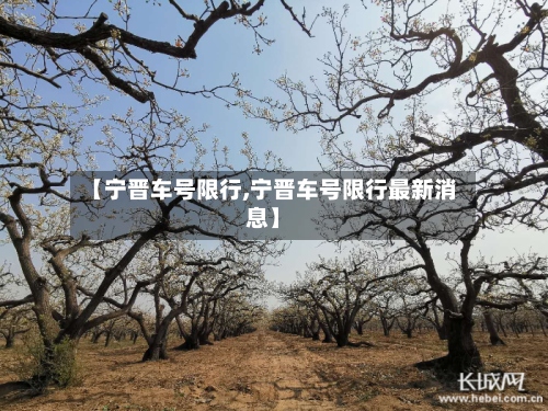 【宁晋车号限行,宁晋车号限行最新消息】
