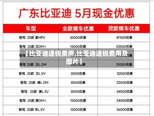 【比亚迪速锐费用,比亚迪速锐费用及图片】