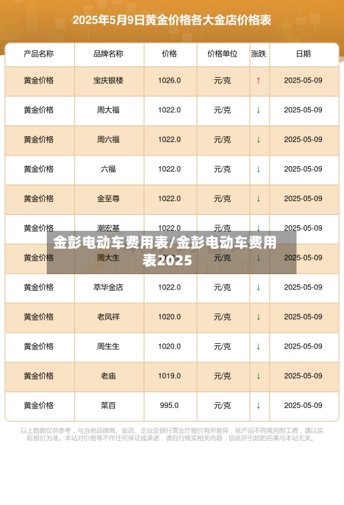 金彭电动车费用表/金彭电动车费用表2025-第2张图片