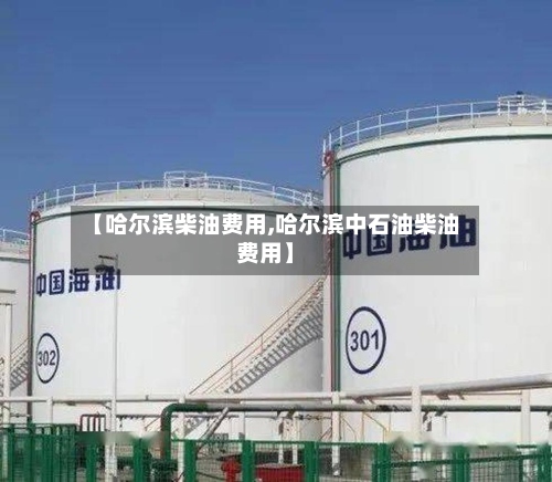 【哈尔滨柴油费用,哈尔滨中石油柴油费用】-第3张图片