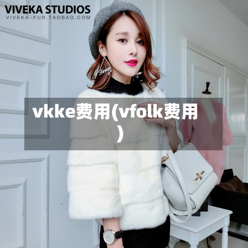 vkke费用(vfolk费用)-第2张图片