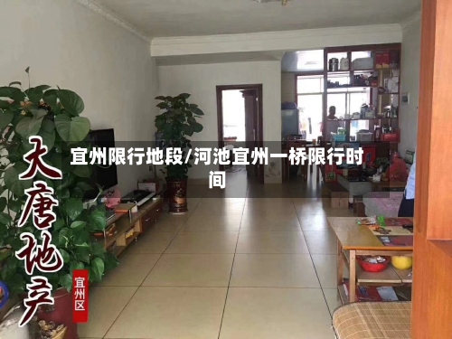 宜州限行地段/河池宜州一桥限行时间