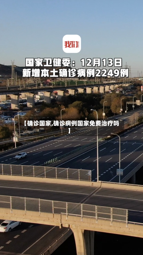 【确诊国家,确诊病例国家免费治疗吗】-第3张图片