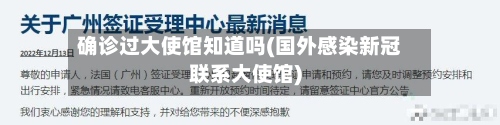 确诊过大使馆知道吗(国外感染新冠联系大使馆)-第3张图片