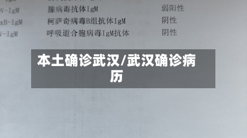 本土确诊武汉/武汉确诊病历