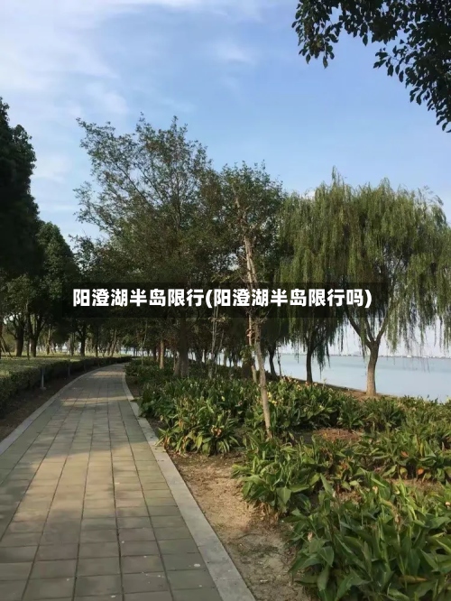 阳澄湖半岛限行(阳澄湖半岛限行吗)