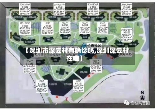【深圳市深云村有确诊吗,深圳深云村在哪】-第3张图片