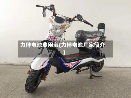 力伴电池费用表(力伴电池厂家简介)