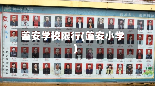 蓬安学校限行(蓬安小学)