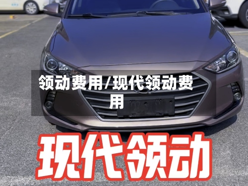 领动费用/现代领动费用