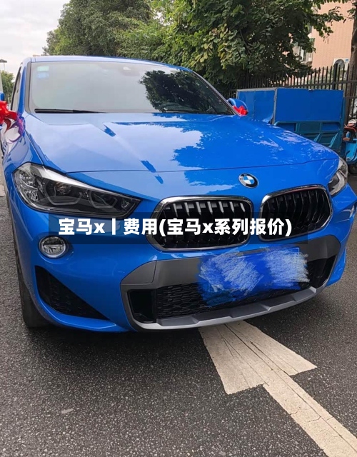 宝马x丨费用(宝马x系列报价)-第2张图片