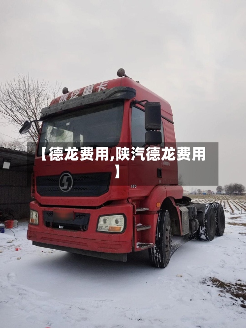 【德龙费用,陕汽德龙费用】-第2张图片