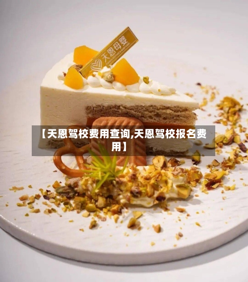 【天恩驾校费用查询,天恩驾校报名费用】
