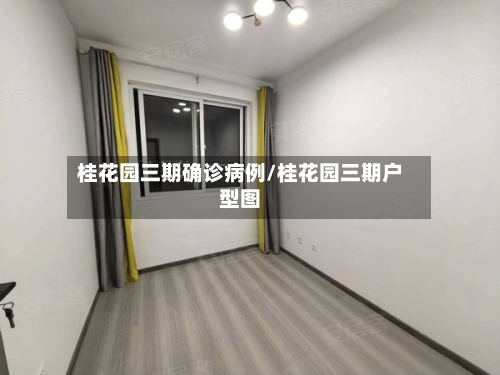 桂花园三期确诊病例/桂花园三期户型图