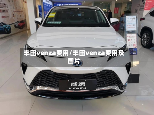 丰田venza费用/丰田venza费用及图片