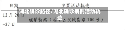 湖北确诊路径/湖北确诊病例活动轨迹-第2张图片