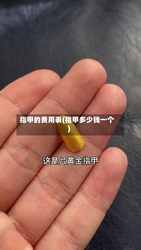 指甲的费用表(指甲多少钱一个)