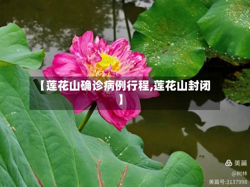 【莲花山确诊病例行程,莲花山封闭】-第2张图片