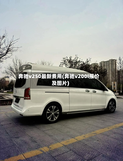 奔驰v250最新费用(奔驰v200l报价及图片)