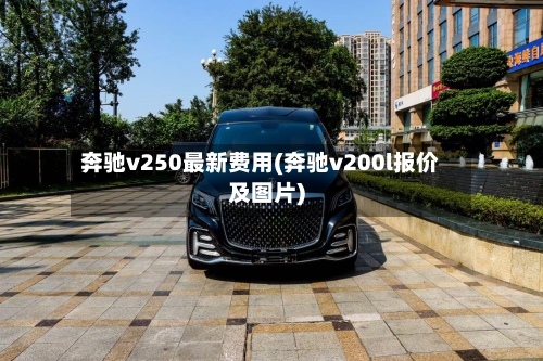 奔驰v250最新费用(奔驰v200l报价及图片)-第2张图片