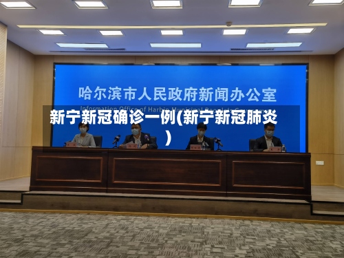 新宁新冠确诊一例(新宁新冠肺炎)-第2张图片