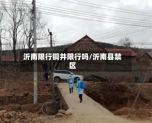 沂南限行铜井限行吗/沂南县禁区-第3张图片