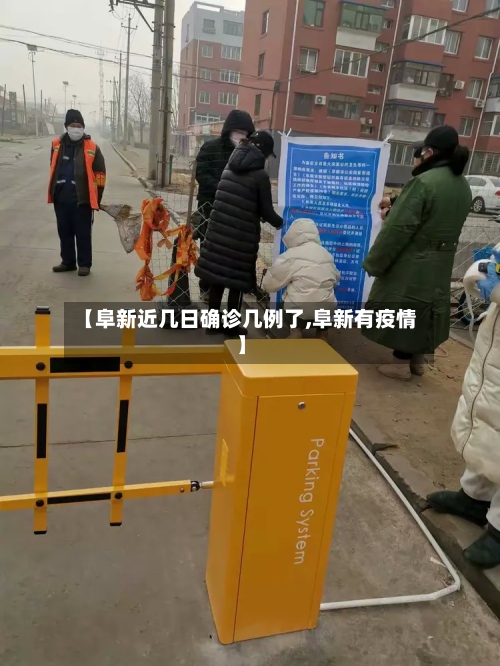 【阜新近几日确诊几例了,阜新有疫情】-第3张图片