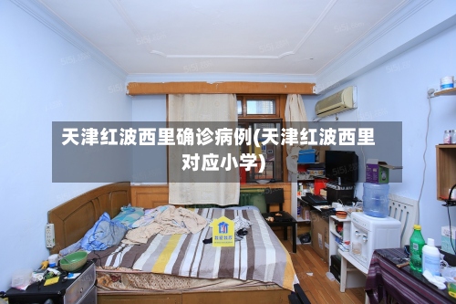 天津红波西里确诊病例(天津红波西里对应小学)-第3张图片