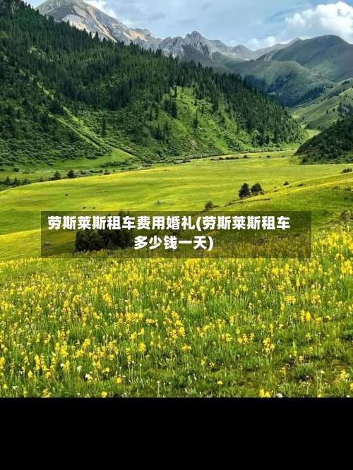 劳斯莱斯租车费用婚礼(劳斯莱斯租车多少钱一天)