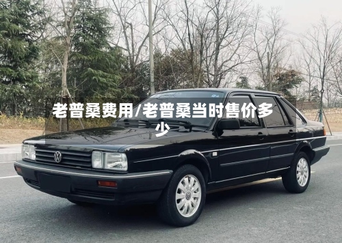 老普桑费用/老普桑当时售价多少-第2张图片