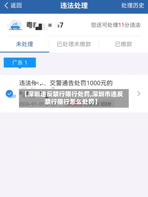 【深圳违反禁行限行处罚,深圳市违反禁行限行怎么处罚】-第2张图片