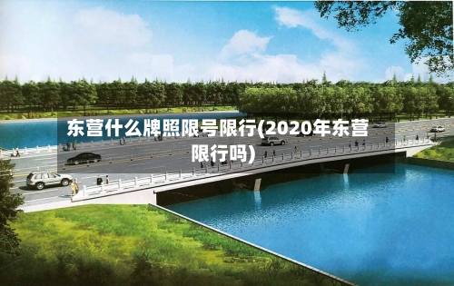 东营什么牌照限号限行(2020年东营限行吗)-第2张图片