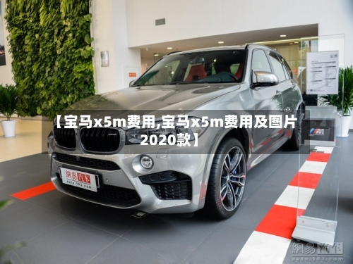 【宝马x5m费用,宝马x5m费用及图片2020款】-第2张图片