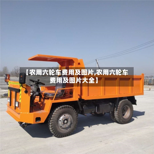 【农用六轮车费用及图片,农用六轮车费用及图片大全】-第2张图片