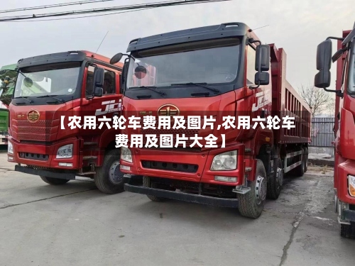 【农用六轮车费用及图片,农用六轮车费用及图片大全】