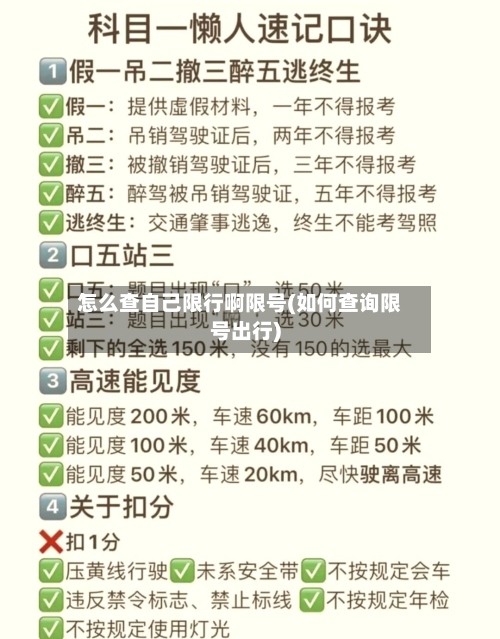 怎么查自己限行啊限号(如何查询限号出行)-第3张图片