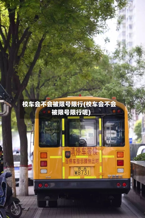 校车会不会被限号限行(校车会不会被限号限行呢)-第3张图片