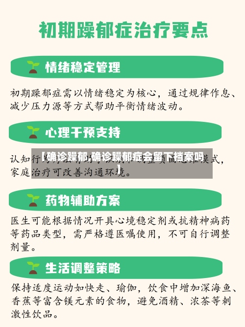 【确诊躁郁,确诊躁郁症会留下档案吗】-第3张图片