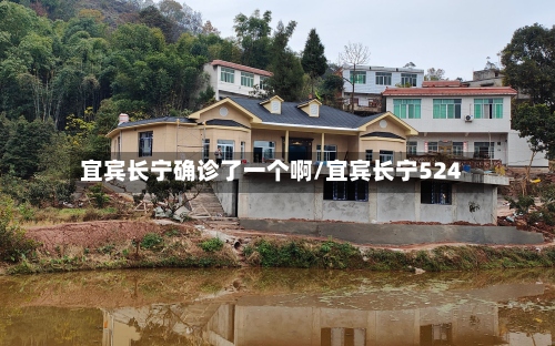 宜宾长宁确诊了一个啊/宜宾长宁524