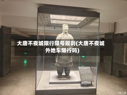 大唐不夜城限行限号规则(大唐不夜城外地车限行吗)