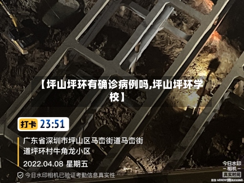 【坪山坪环有确诊病例吗,坪山坪环学校】