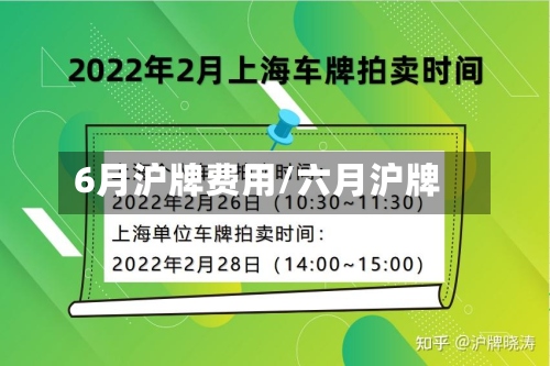 6月沪牌费用/六月沪牌