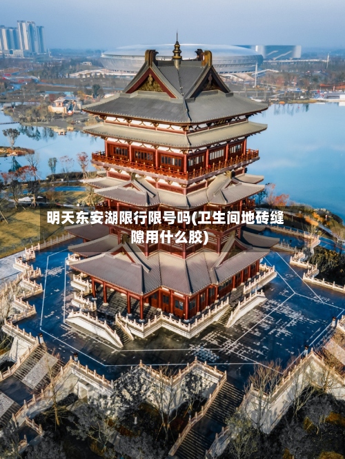 明天东安湖限行限号吗(卫生间地砖缝隙用什么胶)