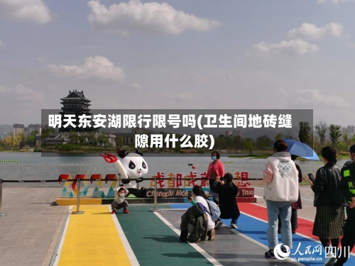明天东安湖限行限号吗(卫生间地砖缝隙用什么胶)-第3张图片