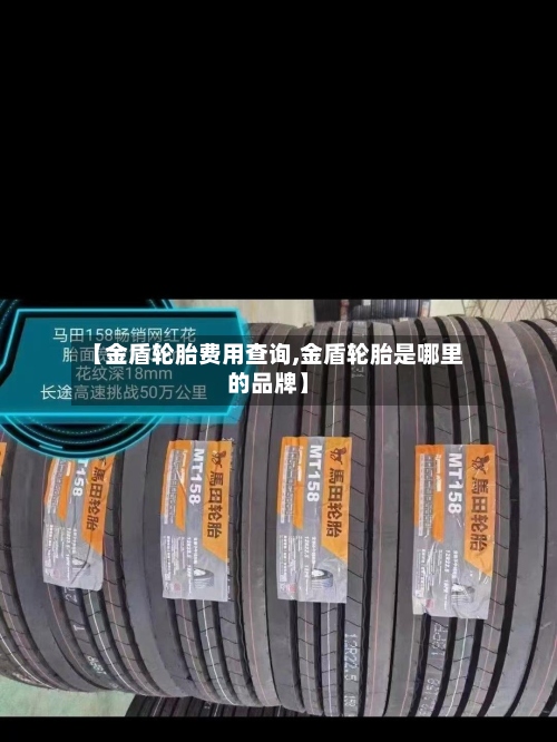 【金盾轮胎费用查询,金盾轮胎是哪里的品牌】