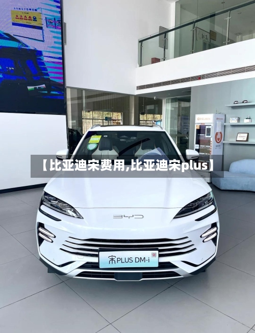 【比亚迪宋费用,比亚迪宋plus】-第3张图片